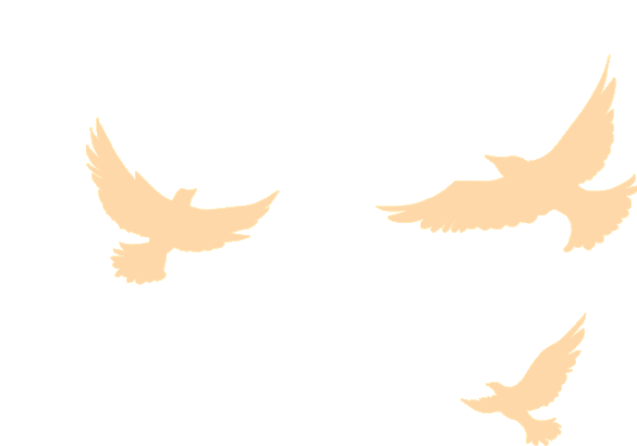 筑梦启程|珠海J9官网2025迎新晚会暨2024年度表彰大会 筑梦启程|珠海J9官网2025迎新晚会暨2024年度表彰大会