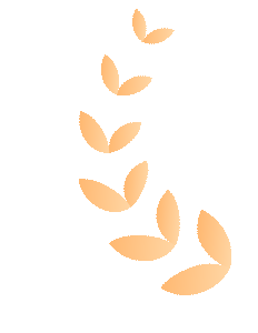 喜报|合肥J9官网成功入选合肥市重点产业链企业 喜报|合肥J9官网成功入选合肥市重点产业链企业