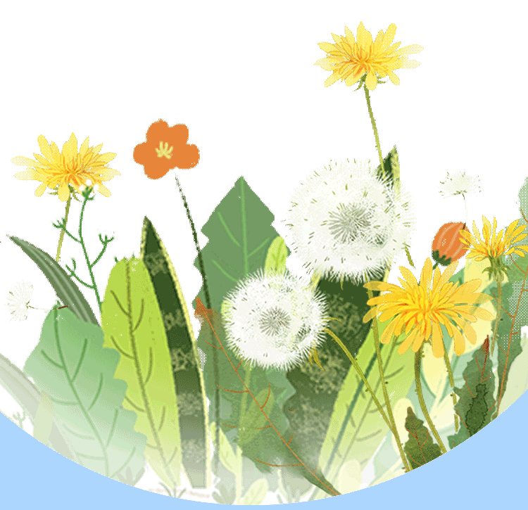 寻芳觅趣正当时,不负春光踏歌行 寻芳觅趣正当时,不负春光踏歌行