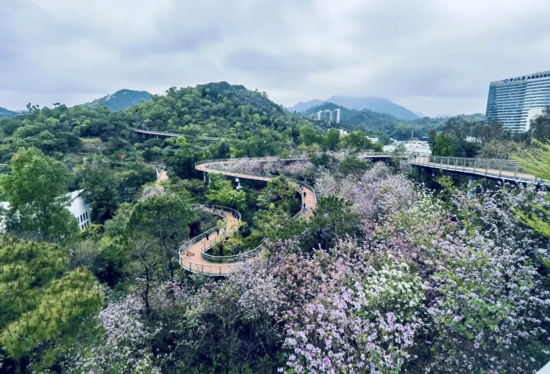 寻芳觅趣正当时,不负春光踏歌行 寻芳觅趣正当时,不负春光踏歌行